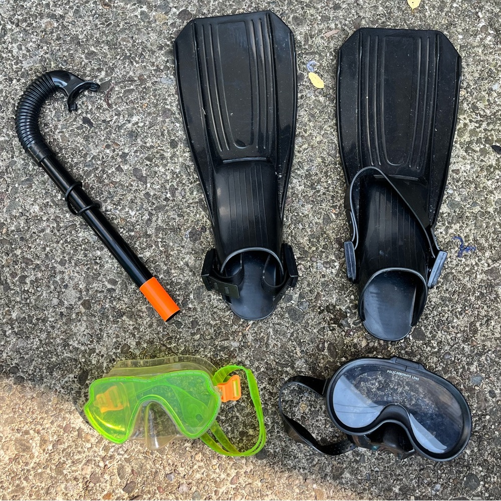 Lot of youth scuba play gear swim snorkeling